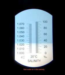 LED Refractometer** - Image 3