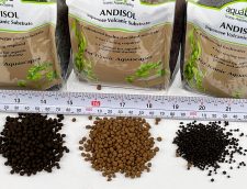aquaLife ANDISOL 3L Fine Black Japanese Volcanic Substrate Soil price is per 3L bag 8/cs - Image 9
