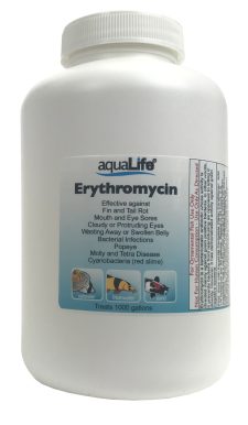 Erythromycin - Treats 1,000 Gallons