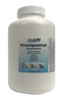Praziquantel - Treats 2,000 Gallons