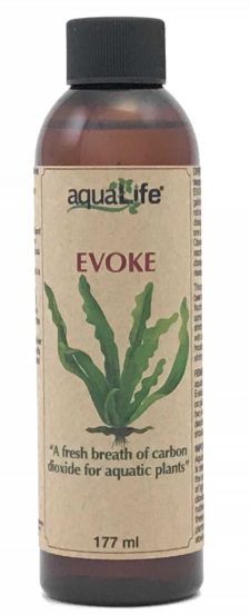 Evoke 177 ml