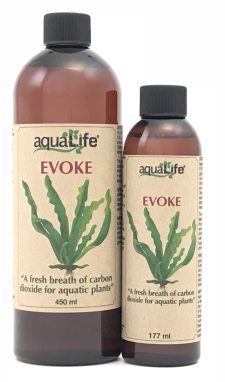 Evoke 177 ml - Image 2
