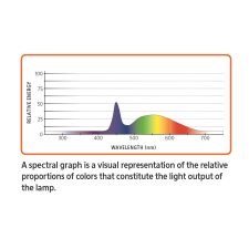 Clip On LED Light for Freshwater Aquariums - Image 3