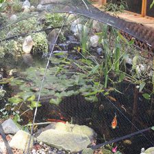 Pond and Garden Protector Small * - Image 2