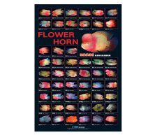 FlowerHorn Poster