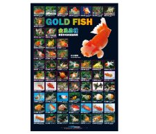 Goldfish Poster