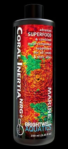Polyp Ignite 60 ml