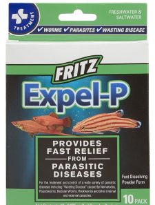 Expel-P 10 Ct