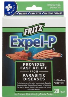 Expel-P 20 Ct