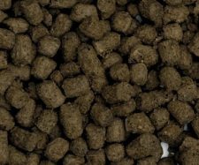 Fluval Bug Bites Cichlid Pellets M-L 3.5oz - Image 2
