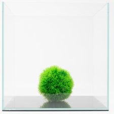 Brilliant 45 Degree 25 Gal. (LI) Ultra Clear Aquarium 18" x 18" x 18" with Mat