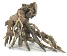 Octopus Wood - Approx. 6" x 4" x 8"