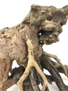 Octopus Wood - Approx. 6" x 4" x 8" - Image 3