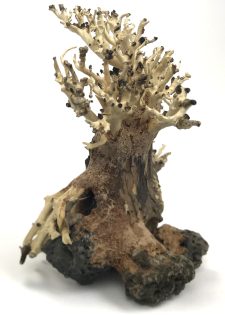 Bonsai Wood with Rock - Approx. 8" x 7" x 4.5" - Image 2