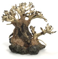 Bonsai Wood with Rock - Approx. 8" x 7" x 4.5" - Image 3
