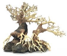 Bonsai Wood with Rock - Approx. 13" x 6" x 10"
