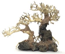 Bonsai Wood with Rock - Approx. 13" x 6" x 10" - Image 2