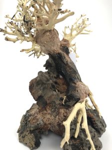 Bonsai Wood with Rock - Approx. 13" x 6" x 10" - Image 4