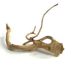 Spider Wood 7-12" - Image 2