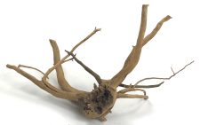 Spider Wood 12-16" - Image 2