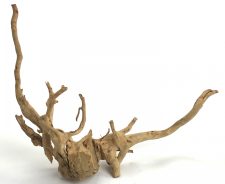 Spider Wood 15-20"