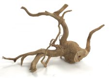 Spider Wood 19-24"