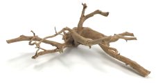 Spider Wood 19-24" - Image 2