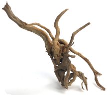 Spider Wood 23-32" - Choice - Image 2