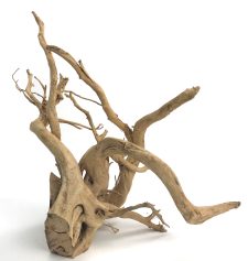 Spider Wood 23-32" - Special - Image 2