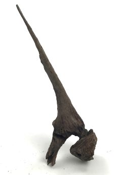 Black Forest Driftwood 4-8" - Image 2