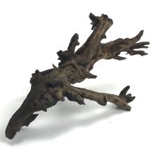 Black Forest Driftwood 7-12" - Image 2
