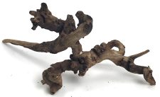 Black Forest Driftwood 11-13" - Image 2