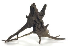 Black Forest Driftwood 13-16" - Image 2