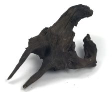 Black Forest Driftwood 23-32" - Image 2