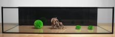 River 45 Degree 46 Gal. (LI) Ultra Clear Aquarium 48.4" x 18.6" x 11.8" - Black background, Black silicone, Rims, & Mat