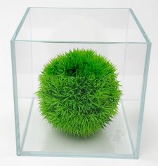 Bono Wabi-kusa 1 Gal Ultra Clear 45 Degree LI Aquarium 16x16x16 cm - 6.3 x 6.3 x 6.3"
