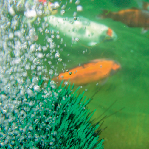 OASE OxyTex Underwater Air Diffuser - Image 3