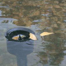OASE AquaSkim In-Pond Surface Skimmer - Image 5