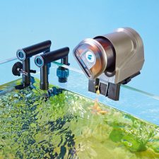 OASE FishGuard Automatic Fish Feeder - Image 4