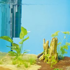 OASE BioPlus 100 Internal Filter - Image 5
