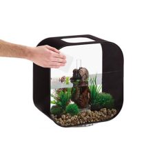 biOrb Service Kit 3 Pack Plus Water Optimiser - Image 3