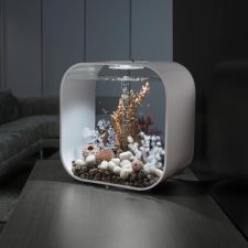 biOrb Sea Fan Small Crimson - Image 5