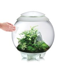 biOrb Scratch Remover Polish* - Image 3
