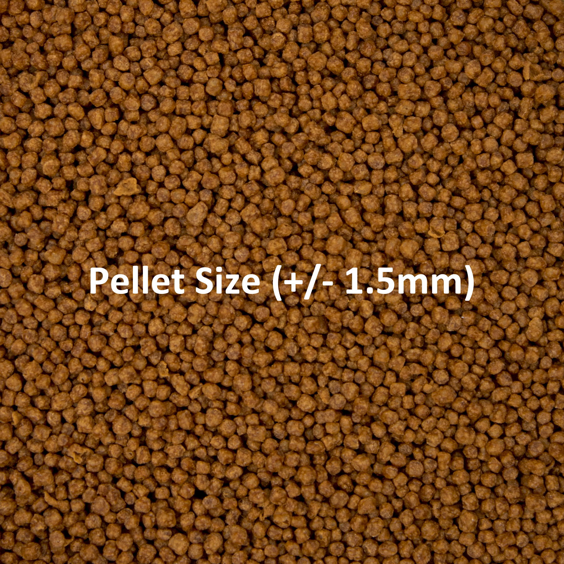 Ocean Nutrition Betta Food 75gr - Image 2
