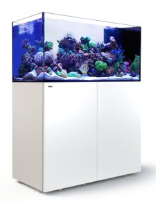 Reefer Peninsula 500 G3 White 108.8 Gal. System (total capacity 137.1 Gal)