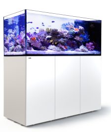 Reefer Peninsula 700 S G3 White 149.2 Gal. System (total capacity 184.8 Gal)