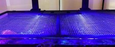 DIY Aquarium Net Cover Tank Net Screen 48" (Includes 1 Universal Cut Out) - Image 3