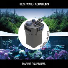 Mega Filtra 650 Canister Filter - Image 11