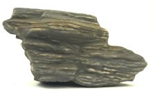 Cichlid Rock A - Image 2
