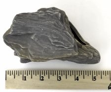 Cichlid Rock A - Image 5